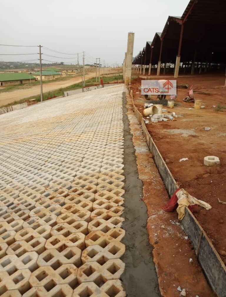 Read more about the article walkways & drainage